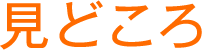 見どころ